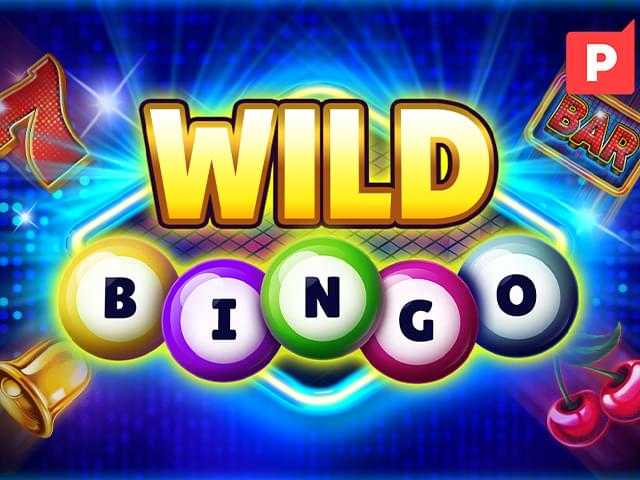 BET 03 Bingo Selvagem